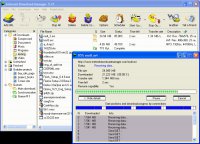 Скриншот Internet Download Manager