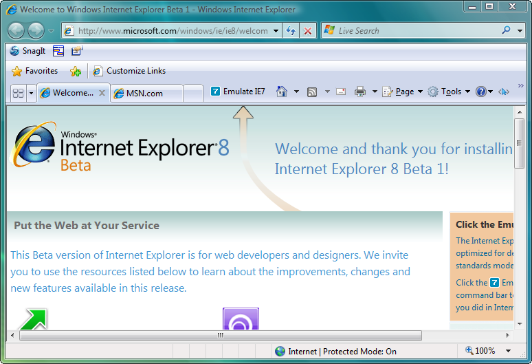 Скриншот Internet Explorer