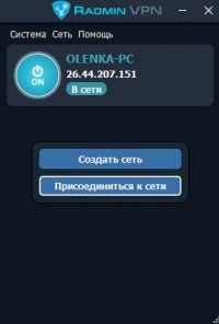 Скриншот Radmin VPN