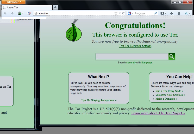 Скриншот Tor Browser